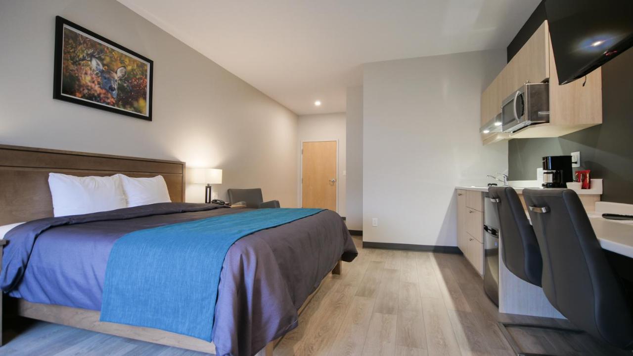 Motel L'Abri Carleton-sur-Mer Eksteriør billede